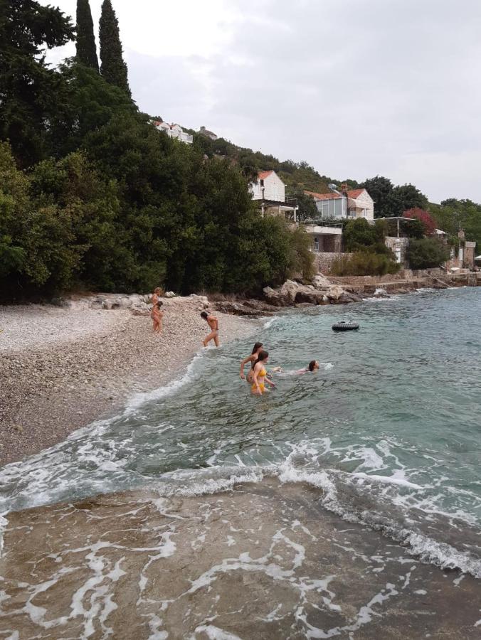 Oliva Apartments Lozica Dubrovnik Bilik gambar